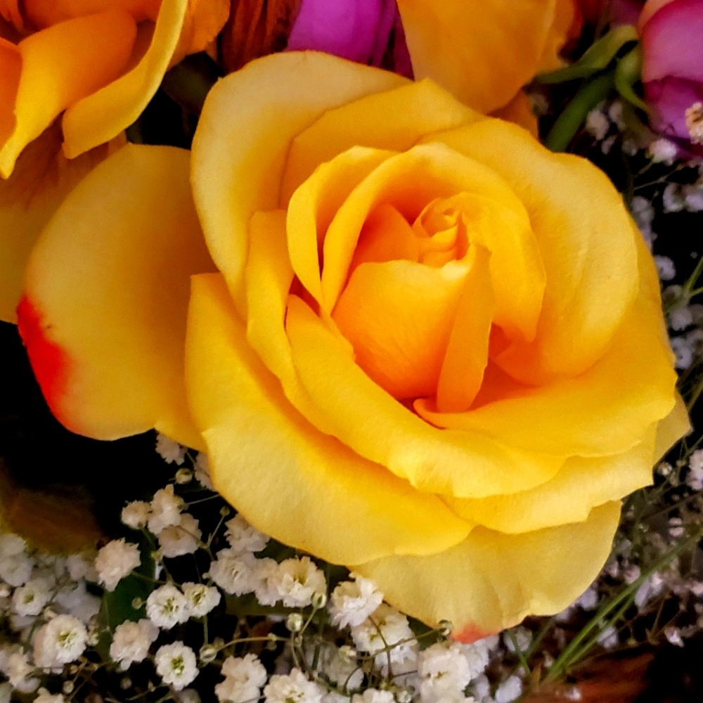 Flowers 💐 for my guests Enjoy!